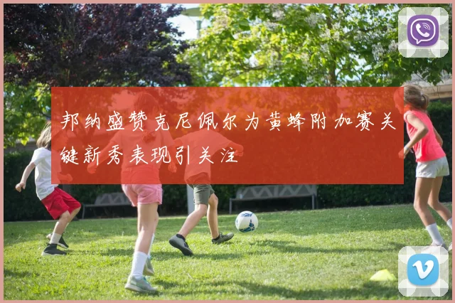 邦纳盛赞克尼佩尔为黄蜂附加赛关键新秀表现引关注